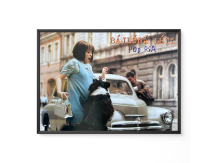 Báječná léta pod psa - Verze 1 - Filmový plakát / Fotoska / Slepka (cca A4)