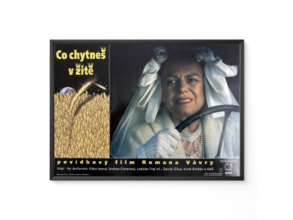 Co chytneš v žitě - Filmový plakát / Fotoska / Slepka (cca A4)