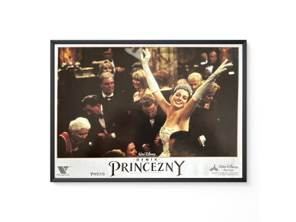 19061 denik princezny verze 2 filmovy plakat fotoska slepka cca a4