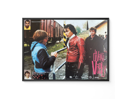 Divoké včely - Verze 2 - Filmový plakát / Fotoska / Slepka (cca A4)