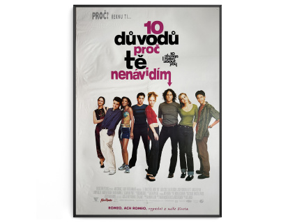 10 důvodů proč tě nenávidím - Filmový plakát (A1)