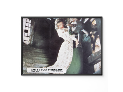 Jak se budí princezny - Filmový plakát / Fotoska / Slepka (cca A4)