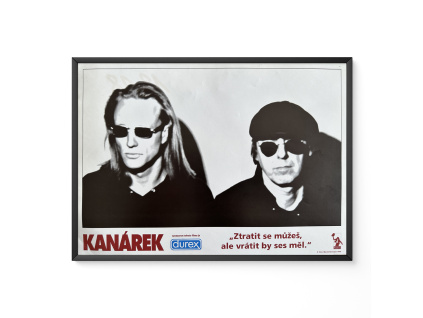 Kanárek - Verze 2 - Filmový plakát / Fotoska / Slepka (cca A4)
