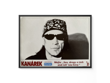 Kanárek - Verze 3 - Filmový plakát / Fotoska / Slepka (cca A4)