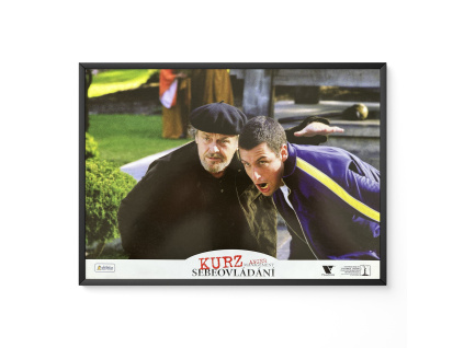 Kurz sebeovládání - Verze 1 - Filmový plakát / Fotoska / Slepka (cca A4)