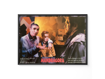 Mandragora - Verze 1 - Filmový plakát / Fotoska / Slepka (cca A4)