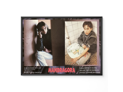 Mandragora - Verze 3 - Filmový plakát / Fotoska / Slepka (cca A4)