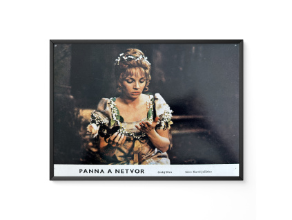 P fotosky IMG 2428