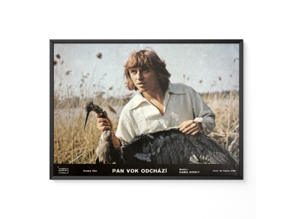 P fotosky IMG 2442