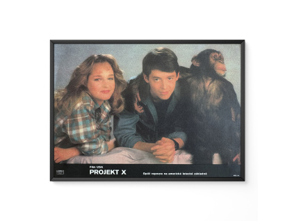 P fotosky IMG 2530