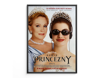 7979 2 denik princezny filmovy plakat a3