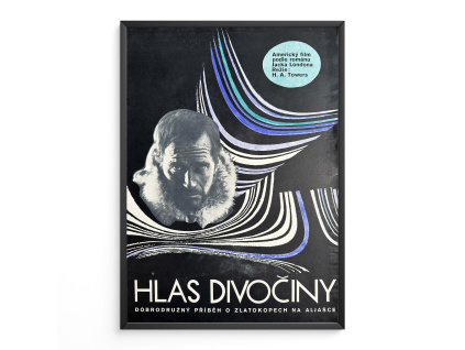 8666 2 hlas divociny filmovy plakat a3