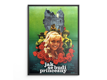 9065 2 jak se budi princezny verze 2 filmovy plakat a3 filmovy plakat a3