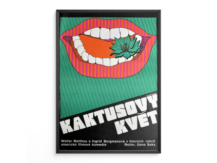 9386 2 kaktusovy kvet filmovy plakat a3