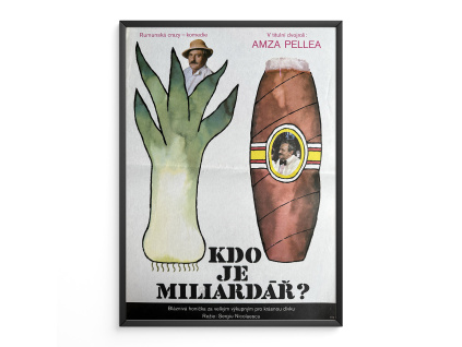 9491 2 kdo je miliardar filmovy plakat a3