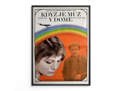 9524 2 kdyz je muz v dome filmovy plakat a3