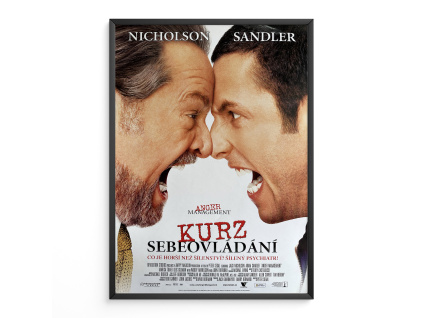 9911 2 kurz sebeovladani filmovy plakat a3