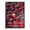10286 1 maly buddha filmovy plakat a3