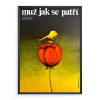 10757 1 muz jak se patri filmovy plakat a3
