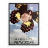 11552 2 o zatoulane princezne filmovy plakat a3