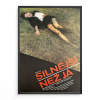 12353 2 silnejsi nez ja filmovy plakat a3