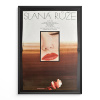 12434 2 slana ruze filmovy plakat a3