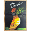 12734 3 stin kapradiny filmovy plakat a3