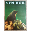 12932 3 syn hor filmovy plakat a3