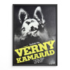 13898 2 verny kamarad filmovy plakat a3