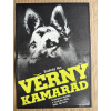 13898 3 verny kamarad filmovy plakat a3