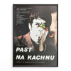 15116 2 past na kachnu verze 1 filmovy plakat a3