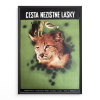 17039 2 cesta nezistne lasky filmovy plakat a3