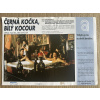 18722 cerna kocka bily kocour verze 1 filmovy plakat fotoska slepka cca a4
