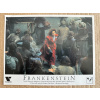 20654 1 frankenstein verze 2 filmovy plakat fotoska slepka cca a4