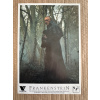 20660 1 frankenstein verze 4 filmovy plakat fotoska slepka cca a4