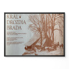 21749 kral drozdia brada verze 1 filmovy plakat fotoska slepka cca a4