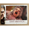 Úsvit mrtvých - Verze 1 - Filmový plakát / Fotoska / Slepka (cca A4)