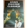 7937 3 darek cerneho carodeje filmovy plakat a3