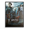 8621 2 harry potter a ohnivy pohar filmovy plakat a3