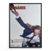 9419 2 kanarek filmovy plakat a3