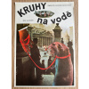 9875 3 kruhy na vode filmovy plakat a3