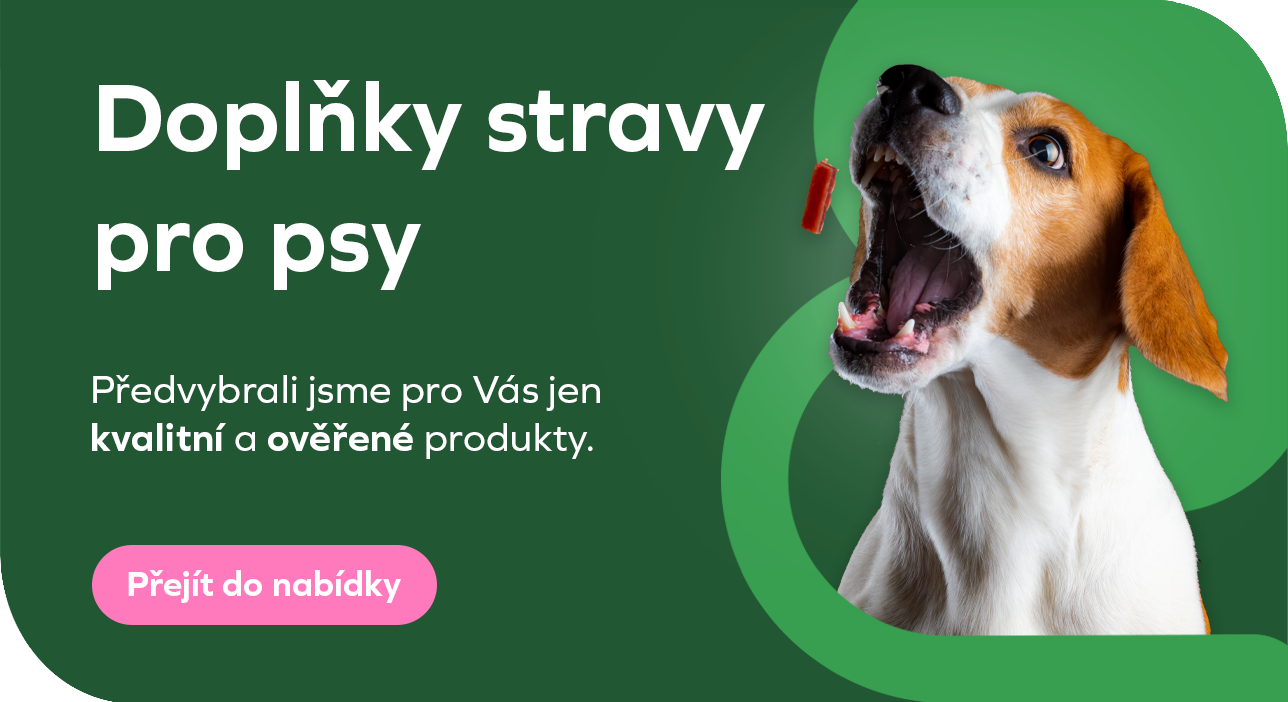 Doplňky stravy pro psy