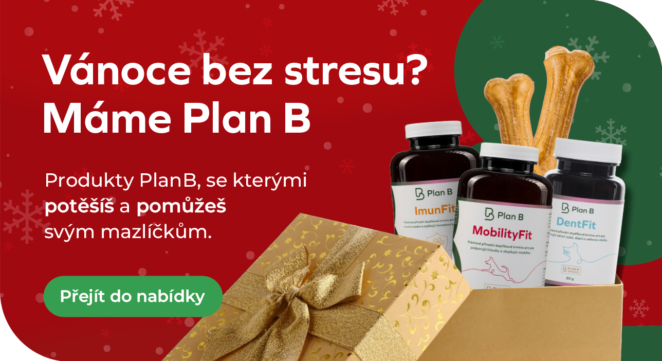 Vánoční speciál na www.planbshop.cz