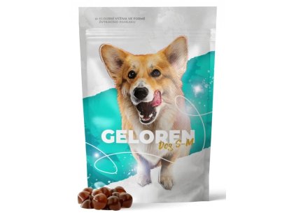 Geloren DOG S M
