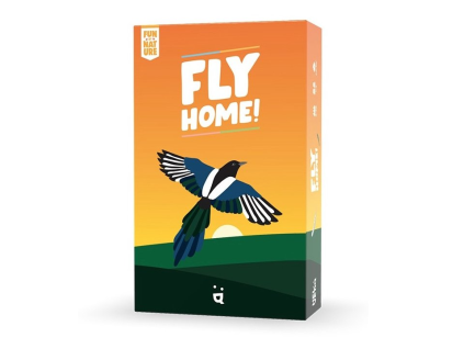 fly home
