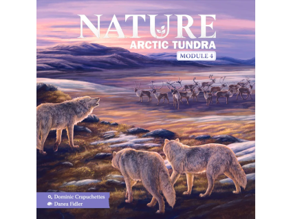 nature arctic tundra