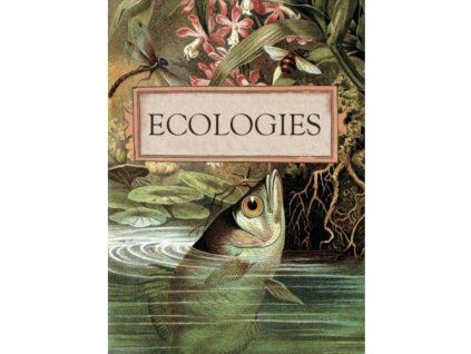 ecologies