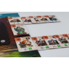 fantasy brewers 6