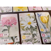 floriferous anglicky 4