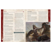 cohors cthulhu rpg player s guide 2
